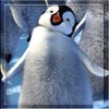 Avatar uživatele